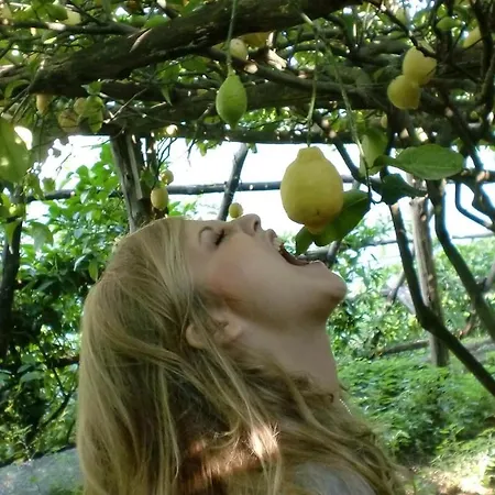 Maison Evita * Сорренто