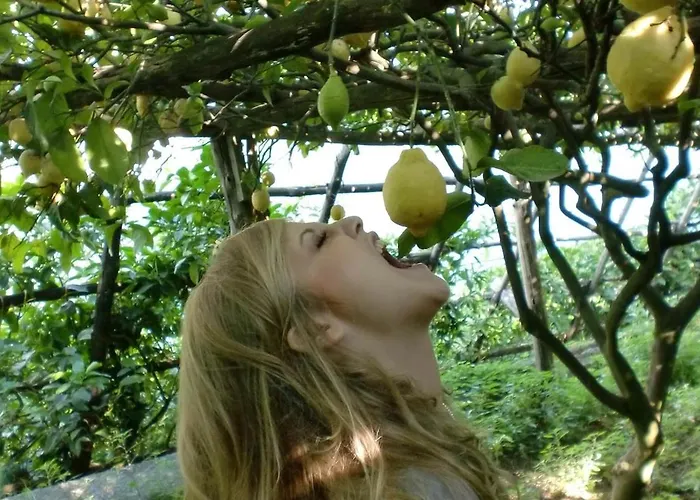 Maison Evita * سورينتو